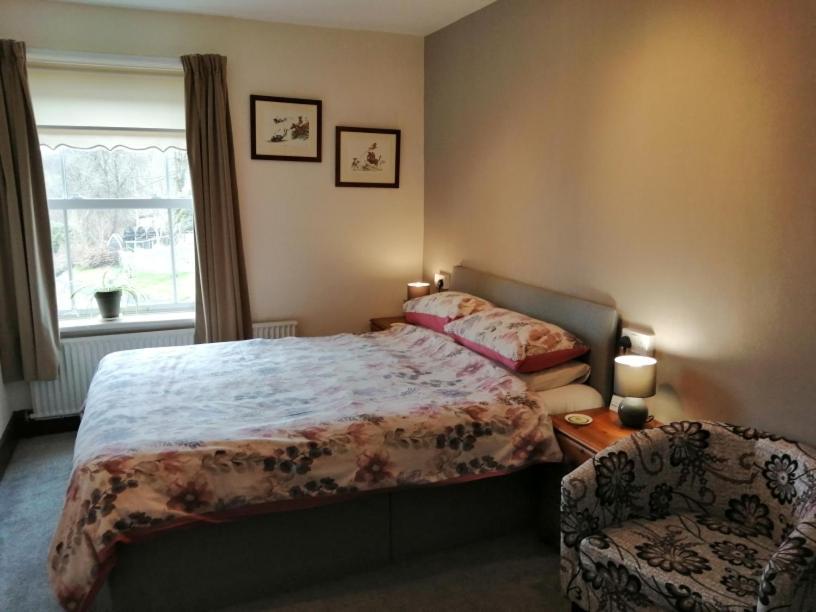 Lion Hotel Llanbister Екстериор снимка